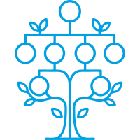 Genealogy Tree